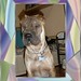Penelope Hooper Photo 5