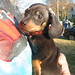 Jimmy Dean Photo 3