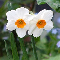 Amy Griggs Photo 43