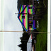 David Alavi Photo 15