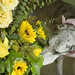Lance Robins Photo 8