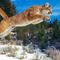 Don Sorensen Photo 20