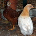 Wendy Eggers Photo 14
