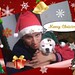 Brian Maya Photo 25