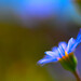 Bob Hand Photo 12