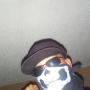 Vincent Mitchell Photo 39