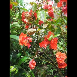 Christine Parsons Photo 7