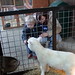 Harrison Lamb Photo 16