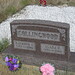 Raymond Shell Photo 10