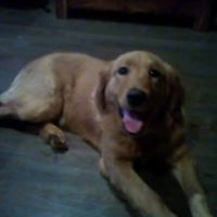 Melissa Shrum Photo 16