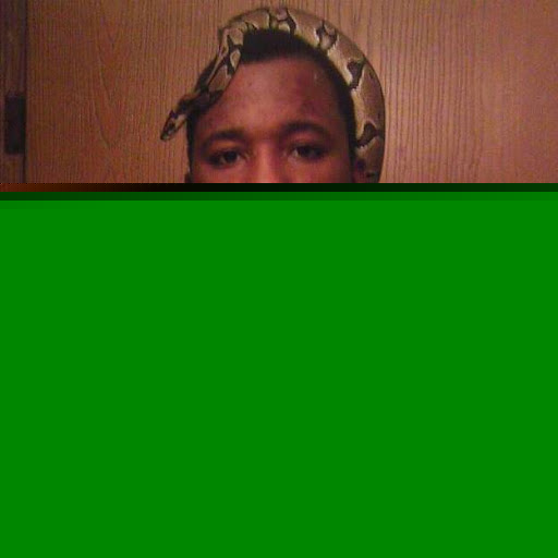 Damon Jenkins Photo 15