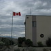 Allan Brooks Photo 3