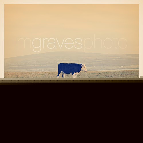 Matthew Graves Photo 10
