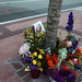 Judy Peterson Photo 33