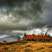 Karl Williams Photo 31