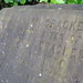 Mary Mccracken Photo 7