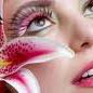 Gina Francese Photo 9