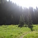 Steven Meadows Photo 15