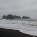 James Forest Photo 14
