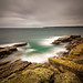 Michael Thies Photo 21
