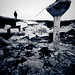 Steven Pham Photo 13