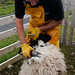 Jared Farmer Photo 12