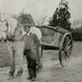 John Knipe Photo 29
