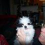 Sheri Wagner Photo 25