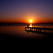 Vena Word Photo 4