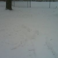 Rex Thompson Photo 20