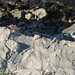 Tim Milner Photo 23