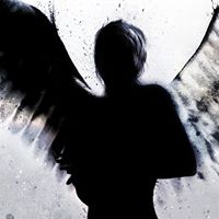 Angel Noel Photo 15