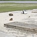 Nancy Blalock Photo 8