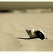 Maureen Long Photo 34