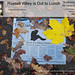 Russell Wiley Photo 32