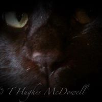 Tammy Mcdowell Photo 29