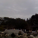 Fang Liu Photo 11