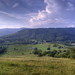 Virginia Lovelady Photo 8