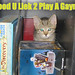 Clint Chess Photo 1