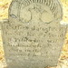 Roger Dougherty Photo 19