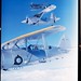 Curtiss May Photo 7