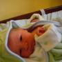 Sara Qualls Photo 7