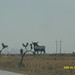 Brandy Osborne Photo 7