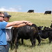 Curt Miller Photo 14