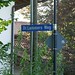David Lammers Photo 14