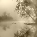 Misty Nelson Photo 16