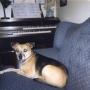 Linda Burk Photo 6