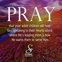 Kimberly Pace Photo 21