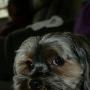 John Michels Photo 42