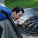 Michael Sargent Photo 42